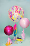 SPLASH SET